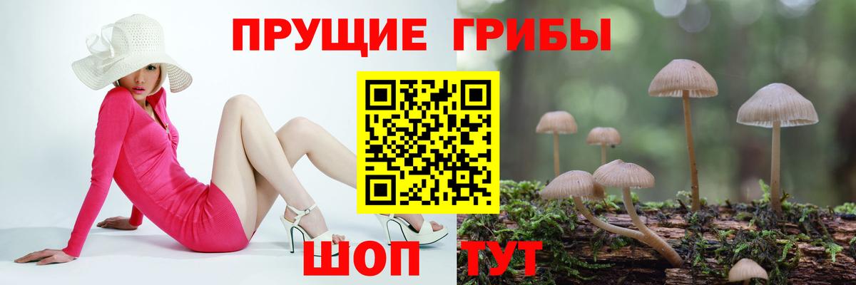 Менделеевск  Псилоцибиновые грибы мицелий  Вход с VPN 